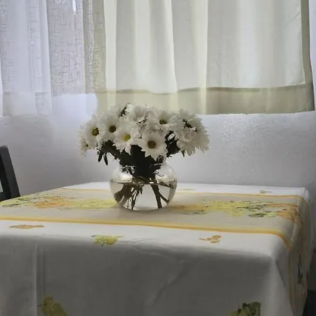 Pogradeci Penzion