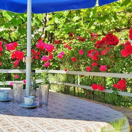 Guest house Pogradeci *